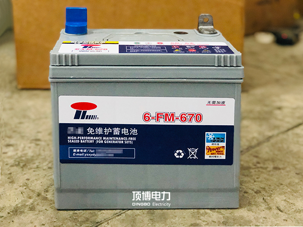 蓄電池-600-帶水印.jpg